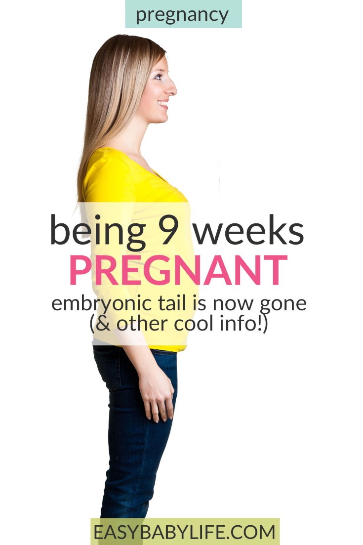 9 weeks pregnant