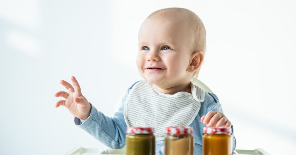 baby food recipe books