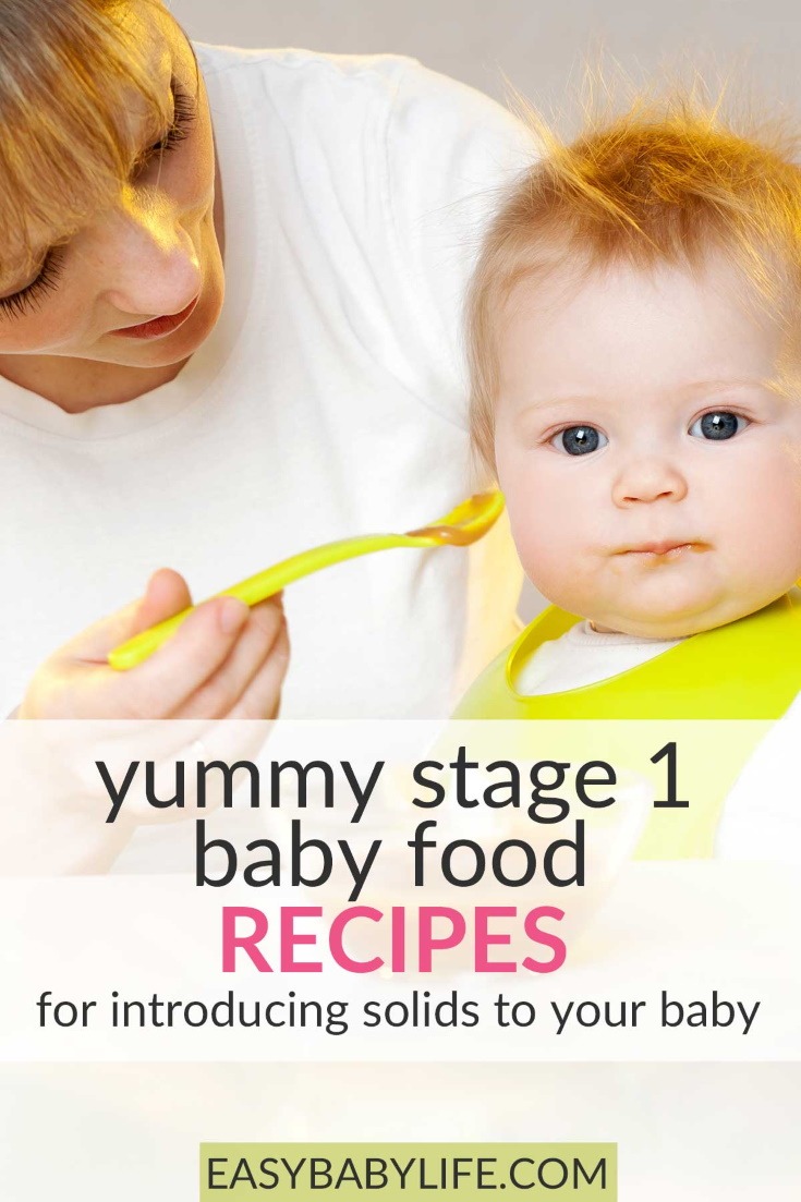 baby food recipes stage 1