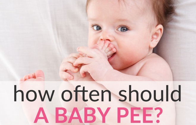 how often should a baby pee