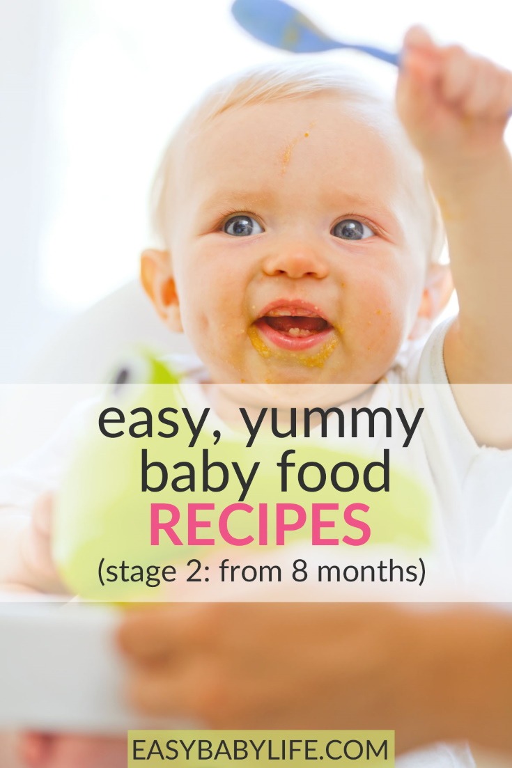 baby food recipes stage 2 from 8 months