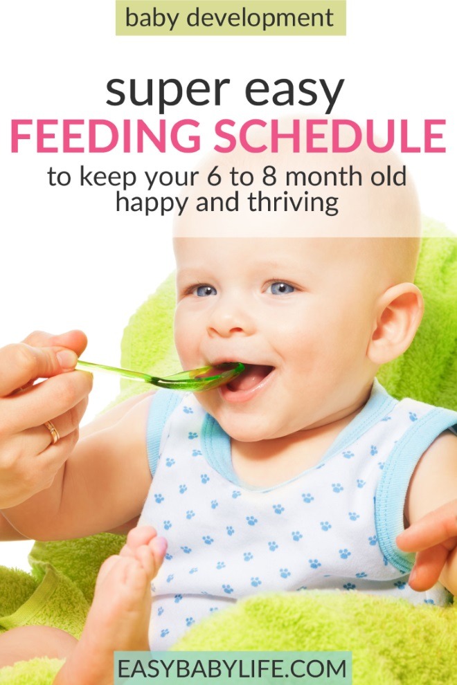 feeding schedule for 6 month old babies