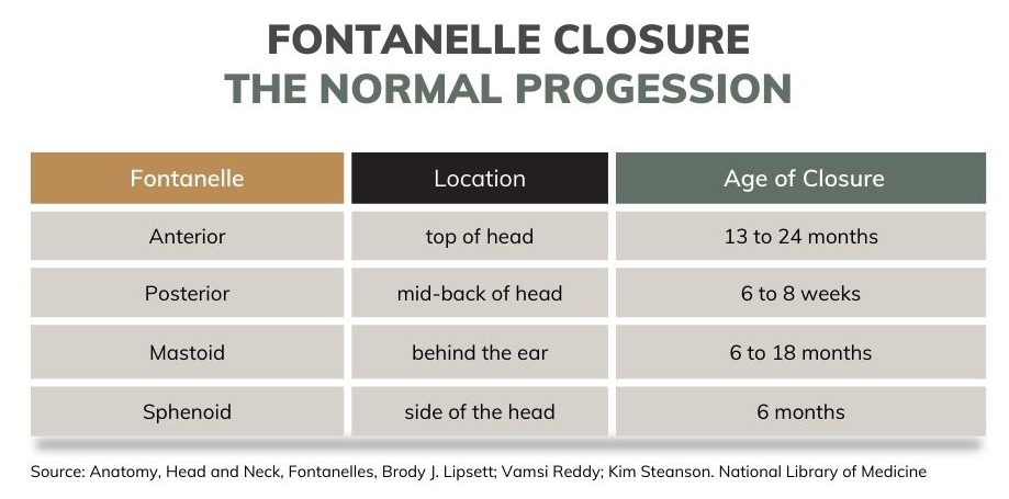 fontanelle closure