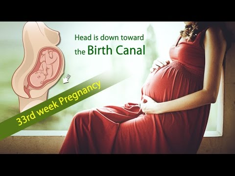 33 Weeks Pregnant: What is Happening in 33 Week Pregnancy?