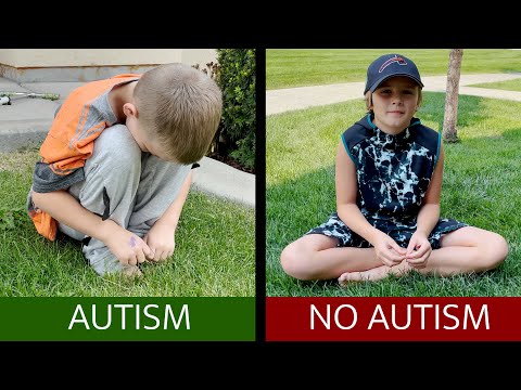 5 Signs You DO NOT Have Autism