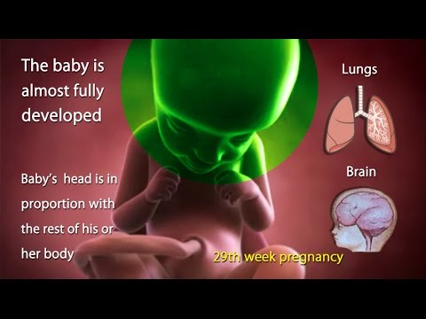 29 Weeks Pregnant: What is Happening in 29th Week of Pregnancy?