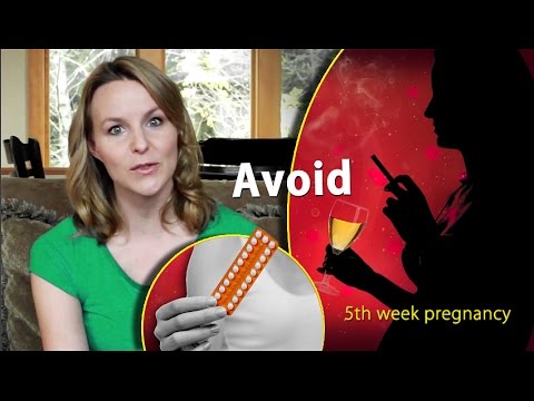 5 Weeks Pregnant: What to Expect in 5th Week of Pregnancy?