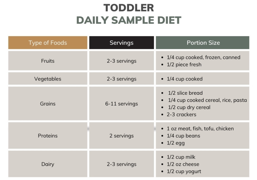 nutritional needs for toddlers