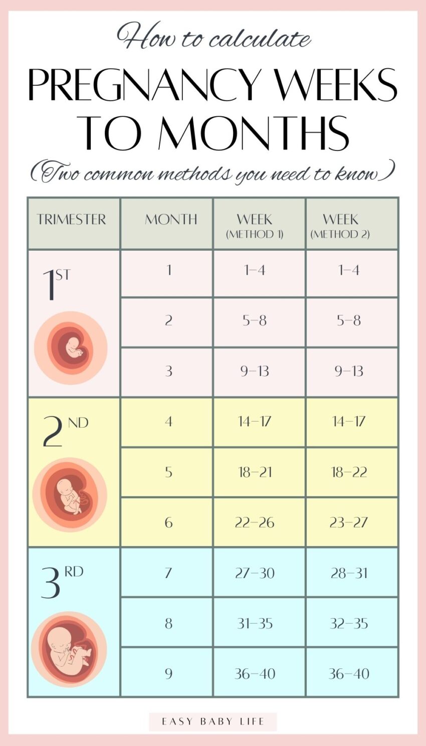 pregnancy weeks months trimester chart