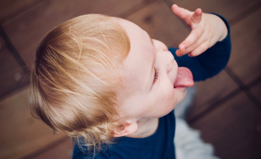 toddler communication skills